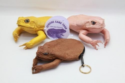 Cane Toad Purse - Click for more info